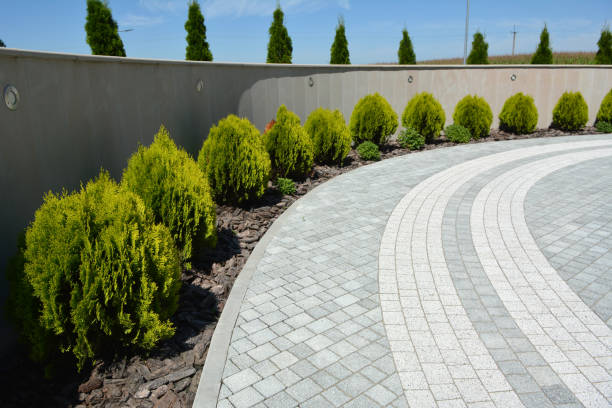 Best Affordable Driveway Pavers  in Sebastopol, CA